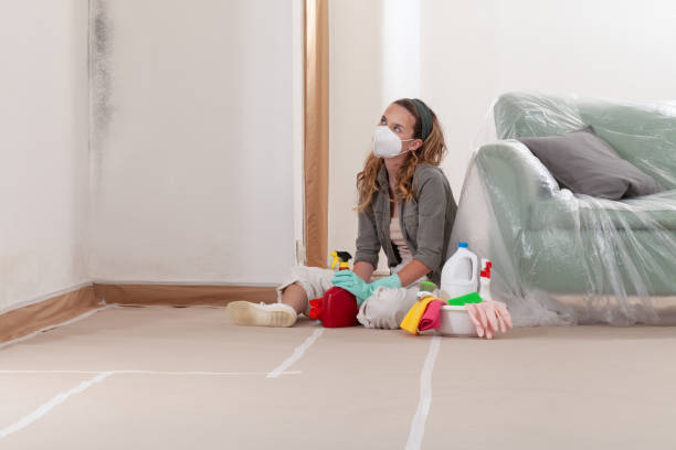 Reliable Mold Remediation contractor in Patchogue, NY by WQB Mold Removal